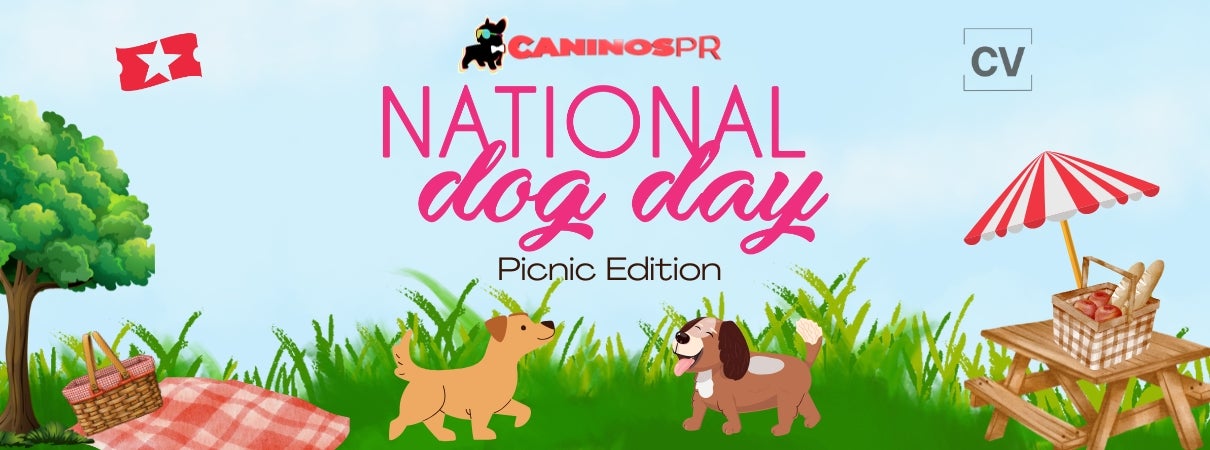 More Info for National Dog Day
