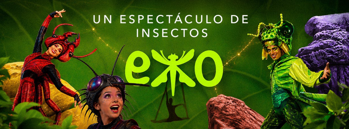 More Info for EXO: Un Espectáculo de Insectos