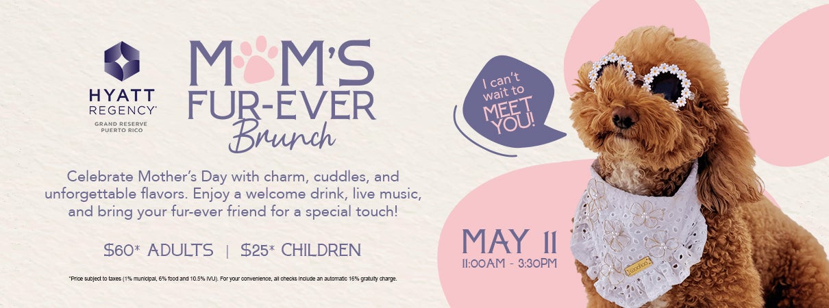 More Info for Mom's Fur - Ever Brunch